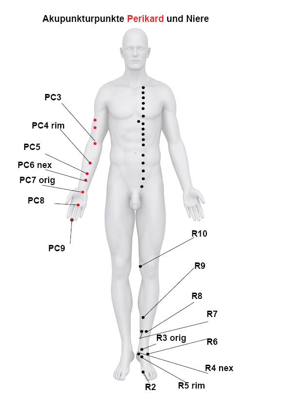 Akupunkturpunkte-perikard-niere_n